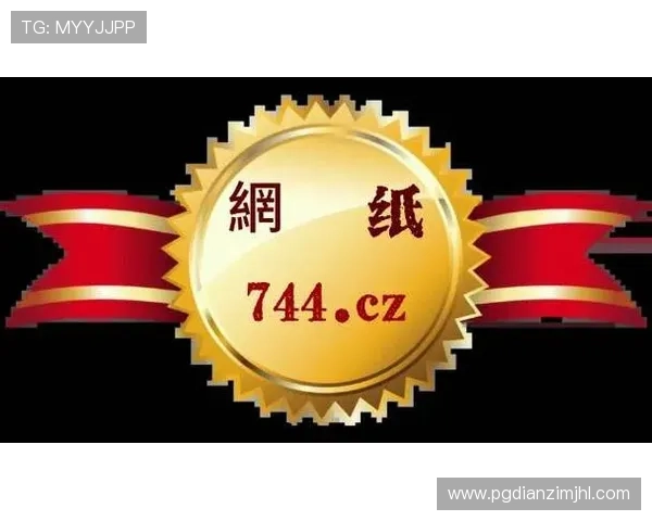 PG娱乐城在线安全措施升级，防范网络风险保障玩家财产安全